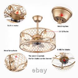 20 Ceiling Fan with Lights & Remote Control 3-Level Wind Speed LED Chandelier